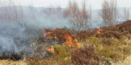 V Brdech hoří 10 hektarů trávy, na místě zasahují jednotky z Příbramska a Hořovicka