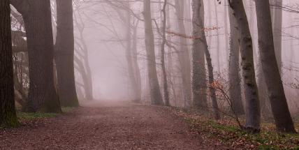 O Vánocích bude přes den nad nulou, mrazu se dočkáme jen v noci