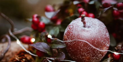Bílé Vánoce letos nebudou, na Štědrý den má být pět stupňů