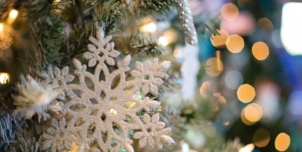 Letošní Vánoce, stejně jako předcházející advent, jsou výrazně poznamenané epidemií koronaviru