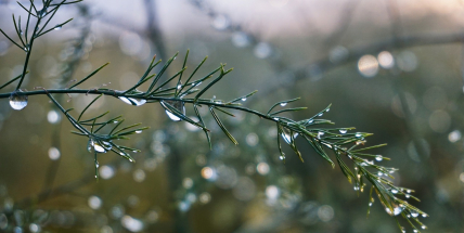 V lednu se ochladí jen dočasně. V polovině měsíce teploty opět porostou a bude pršet