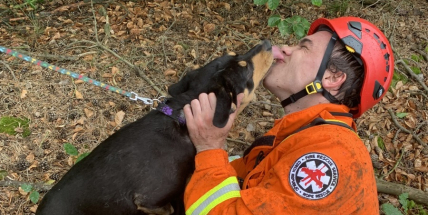 Středočeští hasiči řešili v tomto roce několik kuriózních zásahů