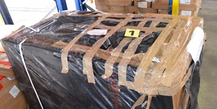 Celníci zadrželi na letišti v Praze 462 kilogramů rostlinné drogy