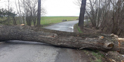 Silnice na Višňovou je uzavřena, hrozí pád větví