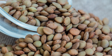 Na Nový rok žádné kuře, rybu ani zajíce