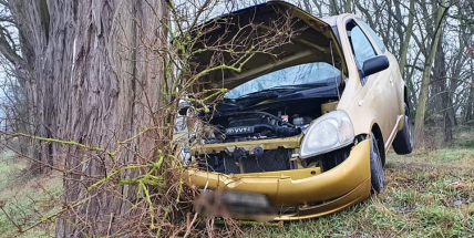 Řidička (18) se lekla srny a narazila do stromu: Se svým spolujezdcem skončili v nemocnici