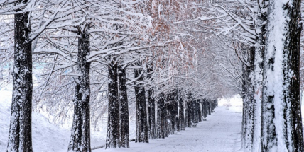 Blíží se pravé zimní počasí. Napadne sníh a teploty klesnou až na mínus deset stupňů