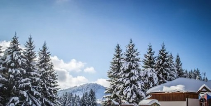 Na Šumavě dnes klesla teplota k minus 25 stupňům