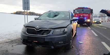 Policisté pátrají po svědcích nehody u Skalky