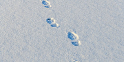 Další příbramský „expert“ si neuvědomil, že po krádeži jsou vidět ve sněhu stopy