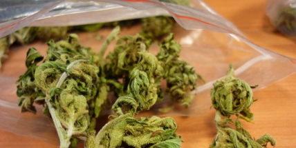 Policie stíhá mladíka, který prodával vězňům marihuanu