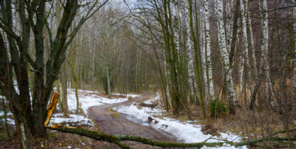 Od středy hrozí silný vítr a záplavy, varují meteorologové