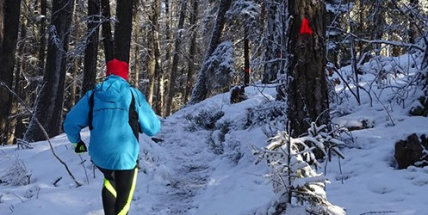 Proběhněte se kolem Vojny. Běžecká trasa spojí sport a historii