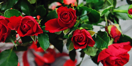 Valentýn: Nebojte se sudého počtu květů, pozor dejte na „myluju tě“