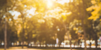 Z prudkých mrazů do příjemných jarních teplot. Příští týden bude až 17 stupňů