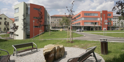 Nemocnice spouští infolinku a chystá informační letáky