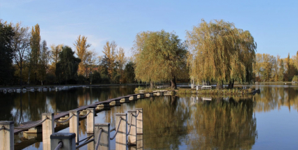 Na dodržování vládních nařízení bude na Nováku dohlížet policie