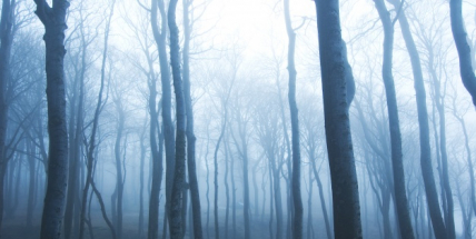 Z následujících čtyř týdnů bude nejchladněji ten příští