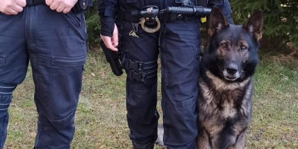 Pohřešovanou seniorku na Příbramsku vypátral služební pes Onar