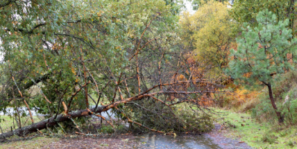 Meteorologové varují: Žene se silný vítr, hrozí komplikace v dopravě