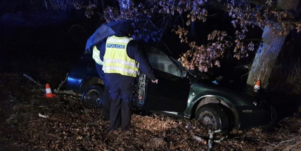 U Voznice narazilo auto do stromu. Řidič se vážně zranil, spolujezdkyně v šoku utekla