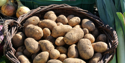 Farmářské trhy jsou otevřeny. Nabídnou zeleninu, uzeniny, med nebo sadbu