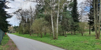 Příbram vybuduje psí park naproti skateparku u Nového rybníka