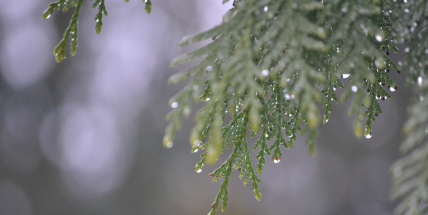 Velká vedra nečekejte. Meteorologové předpověděli počasí na následující týdny