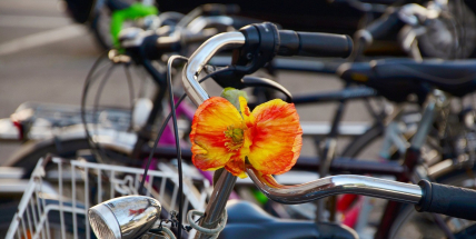 Budou mít u škol kola přednost před auty? V Dobříši se diskutovalo o městské cyklistice
