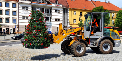 Příbram se pyšní další květinovou výzdobou. Příští rok vysadíme mnohem víc narcisů a tulipánů, řekl starosta