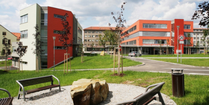 Závěrečný účet za covid v Příbrami: 1274 hospitalizací a 231 úmrtí