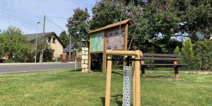 Po 110 letech obnovili v Bohutíně Komenského stromořadí