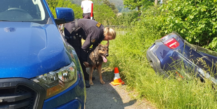 Nabouraného Mustanga nechal v příkopu, od nehody odešel. Policisté pátrají po řidiči