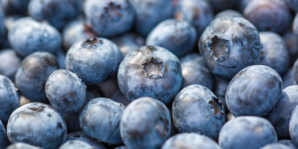 Sypké ovoce jako borůvky se má prodávat na váhu, upozorňují inspektoři. Objem klame