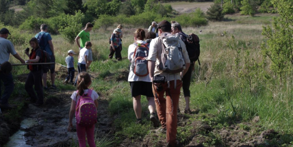 Za zvuky žab: Příbramské muzeum zve na noční exkurzi