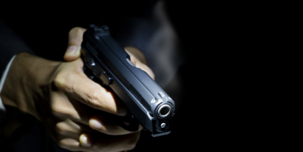 Poslanci schválili ústavní zakotvení práva bránit život se zbraní v ruce