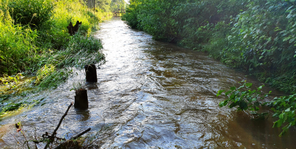 Bouřky v noci způsobily řadu problémů. Na Příbramsku vyjížděli hasiči hlavně k popadaným stromům