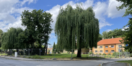 Dobříš vybuduje park na místě zbouraného kina, náklady vyjdou na 700 tisíc