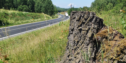 Projekt dálnice D4, jež se staví formou PPP, povede mezinárodní tým manažerů