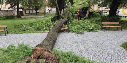 Příbramsko zasáhly silné bouřky, hasiči likvidovali hlavně popadané stromy