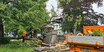 Padlý strom poničil sochu v Arnoštových sadech
