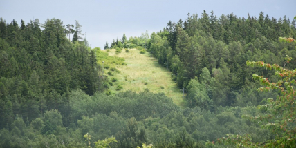 Příbram má možnost scelit pozemky na Padáku, o výkupu „lyžařského svahu“ rozhodnou zastupitelé