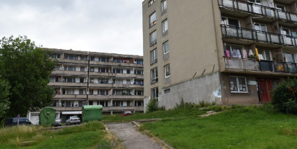 Autorka petice: Děti mají obavy vyjít ven, nepřizpůsobiví je napadají i při cestě ze školy
