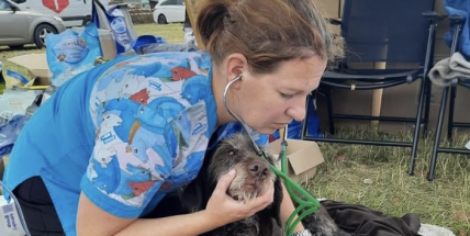 Fotogalerie: Hasiči na Moravě vyprostili ze sutin živého psa