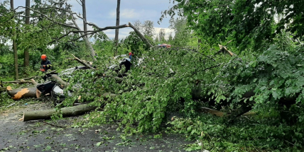 Do Česka dorazily silné bouřky, dva lidé zemřeli po pádu stromu