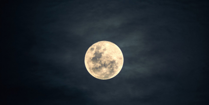 Nebeská podívaná: Na obloze bude o víkendu působivé setkání Měsíce a planet