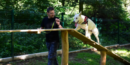 Agility psí park byl otevřen veřejnosti