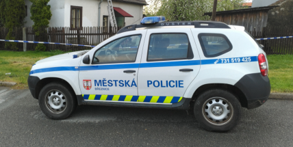 Policisté dosud neznají příčinu úmrtí mladíka, který zemřel po potyčce a zásahu strážníků
