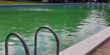 Voda ve středočeských koupalištích se mírně zhoršila