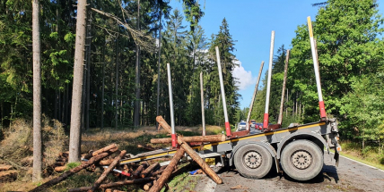 Na silnici u Věšína havaroval kamion se dřevem
